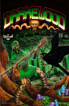 Darkewood 1 published by Aircel with cover art by Adrian Kleinbergen