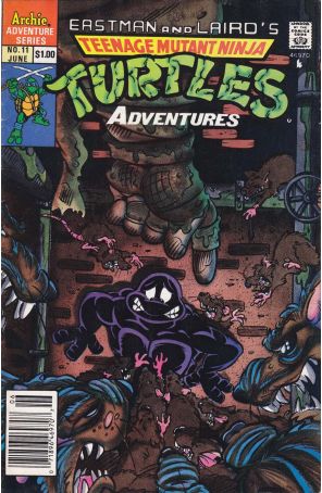Teenage Mutant Ninja Turtles Adventures (2nd Series) 11 (Newsstand) published by Archie