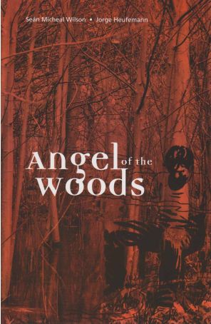 Angel of the Woods TPB 1 published by Boychild