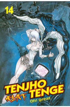 Tenjho Tenge 14 published by CMX with cover art by Oh! Great