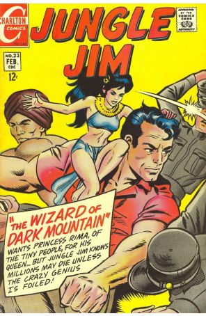 Jungle Jim (Charlton) 22 published by Charlton with cover art by Steve Ditko