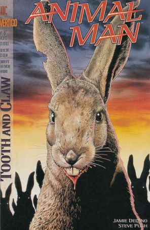 Animal Man 62 published by Vertigo with cover art by Brian Bolland