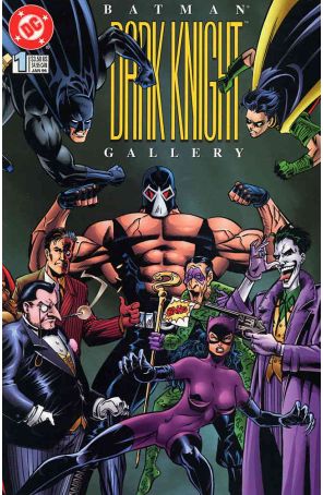 Batman: Dark Knight Gallery 1 published by DC