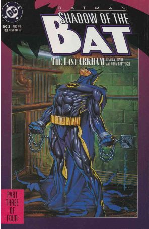 Batman: Shadow of the Bat 3 published by DC with cover art by Brian Stelfreeze