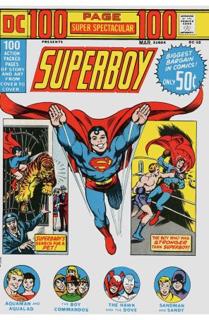 DC 100 Page Super Spectacular 15 published by DC with cover art by Nick Cardy