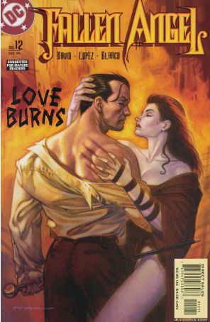 Fallen Angel 12 published by DC with cover art by Brian Stelfreeze