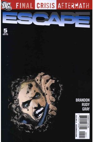 Final Crisis Aftermath: Escape 5 published by DC with cover art by Scott Hampton