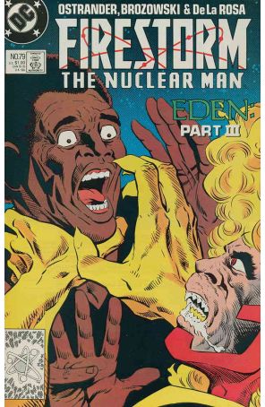 Firestorm, the Nuclear Man 79 published by DC with cover art by Joe Brozowski