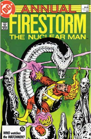 The Fury of Firestorm Annual 4 published by DC