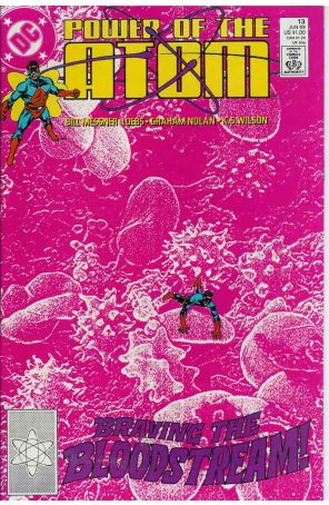 Power of the Atom 13 published by DC with cover art by Graham Nolan