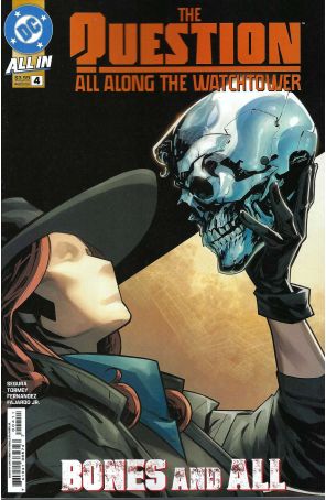 Question: All Along the Watchtower 4A published by DC with cover art by Cian Tormey