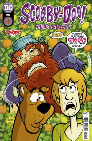 Scooby Doo, Where Are You? (DC) 110 published by DC with cover art by Randy Elliott