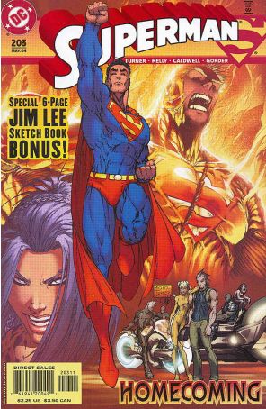 Superman (2nd Series) 203 published by DC with cover art by Michael Turner
