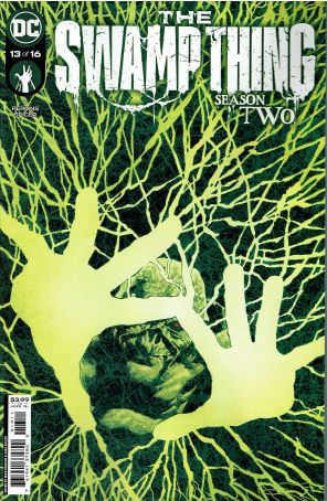 Swamp Thing (7th Series) 13 published by DC with cover art by Mike Perkins