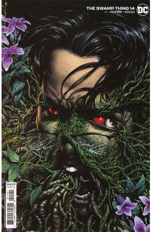 Swamp Thing (7th Series) 14A published by DC with cover art by Steve Beach