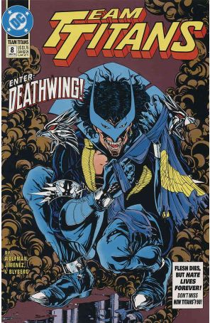 Team Titans 8 published by DC with cover art by Phil Jimenez