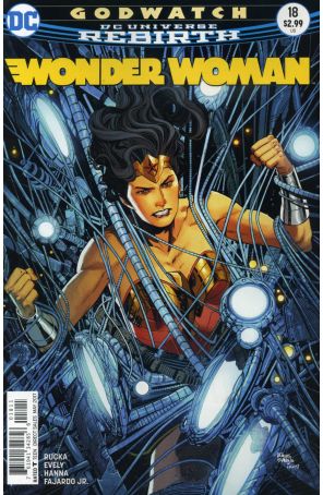 Wonder Woman (5th Series) 18 published by DC with cover art by Bilquis Evely
