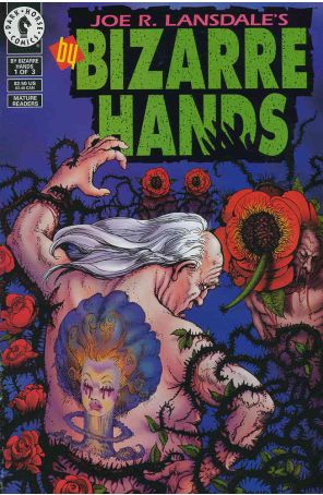 By Bizarre Hands 1 published by Dark Horse with cover art by Francisco Solano Lopez