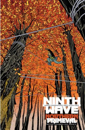 The Massive 3A published by Dark Horse with cover art by Rafael Grampá