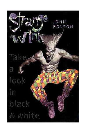 Strange Wink (John Bolton's) 2 published by Dark Horse