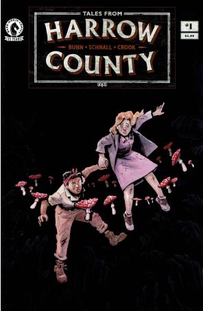 Tales From Harrow County: Fair Folk 1A published by Dark Horse with cover art by Emily Schnall