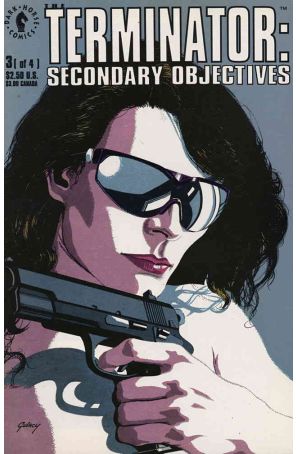 Terminator: Secondary Objectives 3 published by Dark Horse with cover art by Paul Gulacy