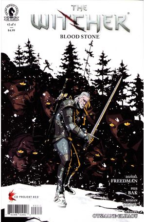 Witcher: Blood Stone 2 published by Dark Horse with cover art by Pius Bak