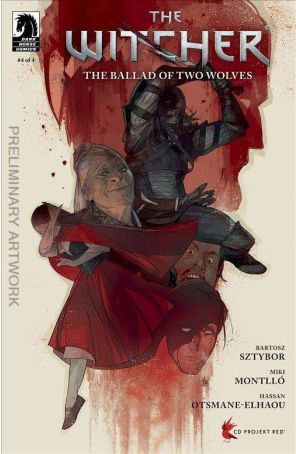 Witcher: The Ballad of Two Wolves 4C published by Dark Horse with cover art by Otto Schmidt