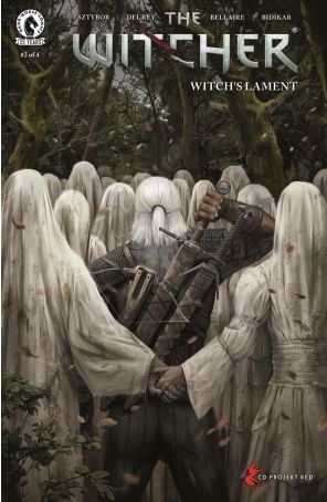 Witcher: Witch's Lament 2C published by Dark Horse with cover art by Stefan Koidl