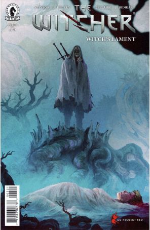 Witcher: Witch's Lament 3B published by Dark Horse with cover art by Anato Finnstark