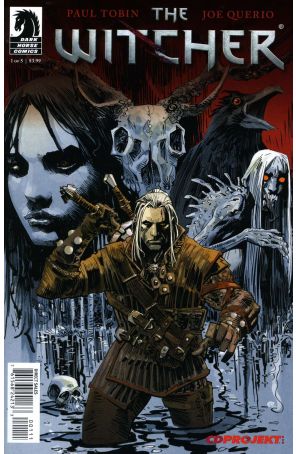 The Witcher 1 published by Dark Horse with cover art by Dan Panosian and Dave Johnson