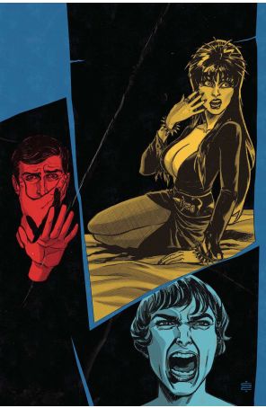 Elvira in Horrorland 1J published by Dynamite with cover art by Silvia Califano