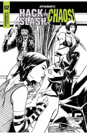 Hack/Slash vs Chaos 2F published by Dynamite with cover art by Tim Seeley