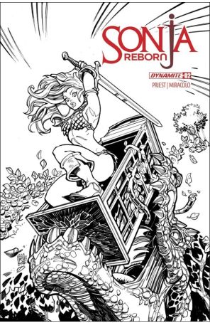 Sonja Reborn 2H published by Dynamite with cover art by Chad Hardin