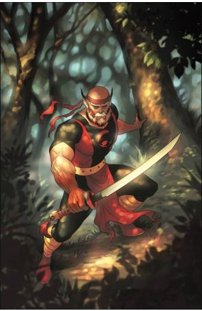 ThunderCats Lost 5L published by Dynamite with cover art by Meghan Hetrick