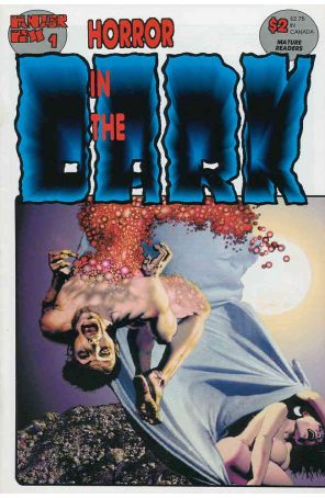 Horror in the Dark 1 published by Fantagor with cover art by Richard Corben