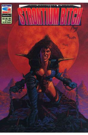 Strontium Bitch 2 published by Fleetway Quality with cover art by Marc Sasso