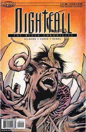 NightfalL: The Black Chronicles 2 published by Homage with cover art by Tomm Coker