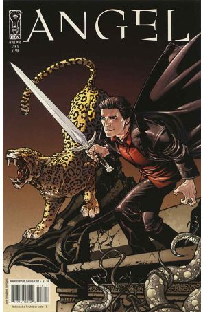 Angel (IDW 1st Series) 18A published by IDW with cover art by Gabriel Rodriguez