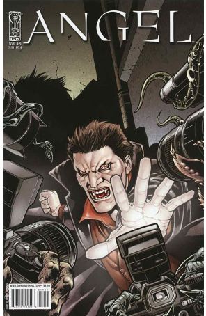 Angel (IDW 1st Series) 19A published by IDW with cover art by Gabriel Rodriguez
