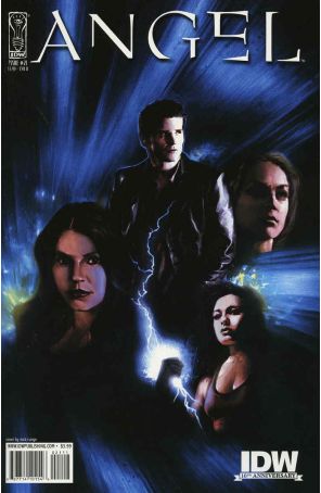 Angel (IDW 1st Series) 21B published by IDW with cover art by Nick Runge