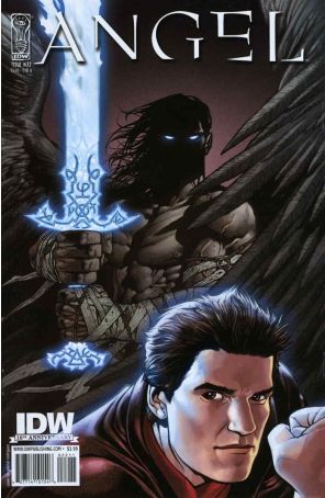 Angel (IDW 1st Series) 22A published by IDW with cover art by Gabriel Rodriguez