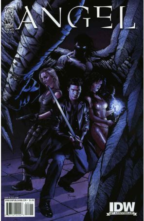 Angel (IDW 1st Series) 22B published by IDW with cover art by Nick Runge