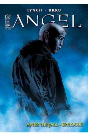 Angel (IDW 1st Series) 23B published by IDW with cover art by Nick Runge
