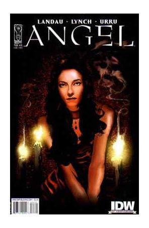 Angel (IDW 1st Series) 24C published by IDW with cover art by Nick Runge