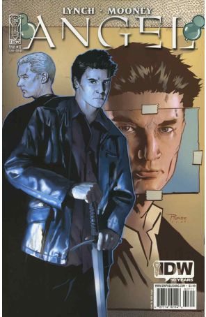 Angel (IDW 1st Series) 27B published by IDW with cover art by Nick Runge