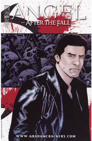 Angel: After the Fall 1E published by IDW with cover art by David Messina