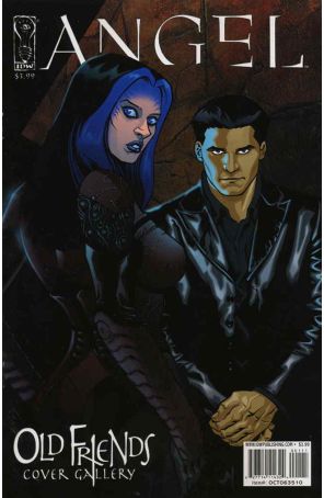 Angel: Old Friends Cover Gallery 1 published by IDW