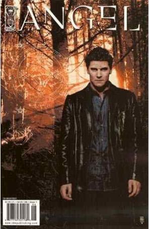 Angel: The Curse 1 (3rd) published by IDW with cover art by Tim Bradstreet