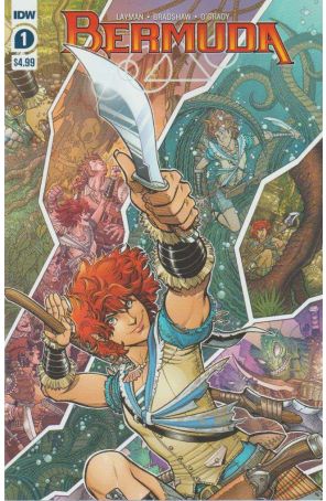 Bermuda 1 published by IDW with cover art by Nick Bradshaw